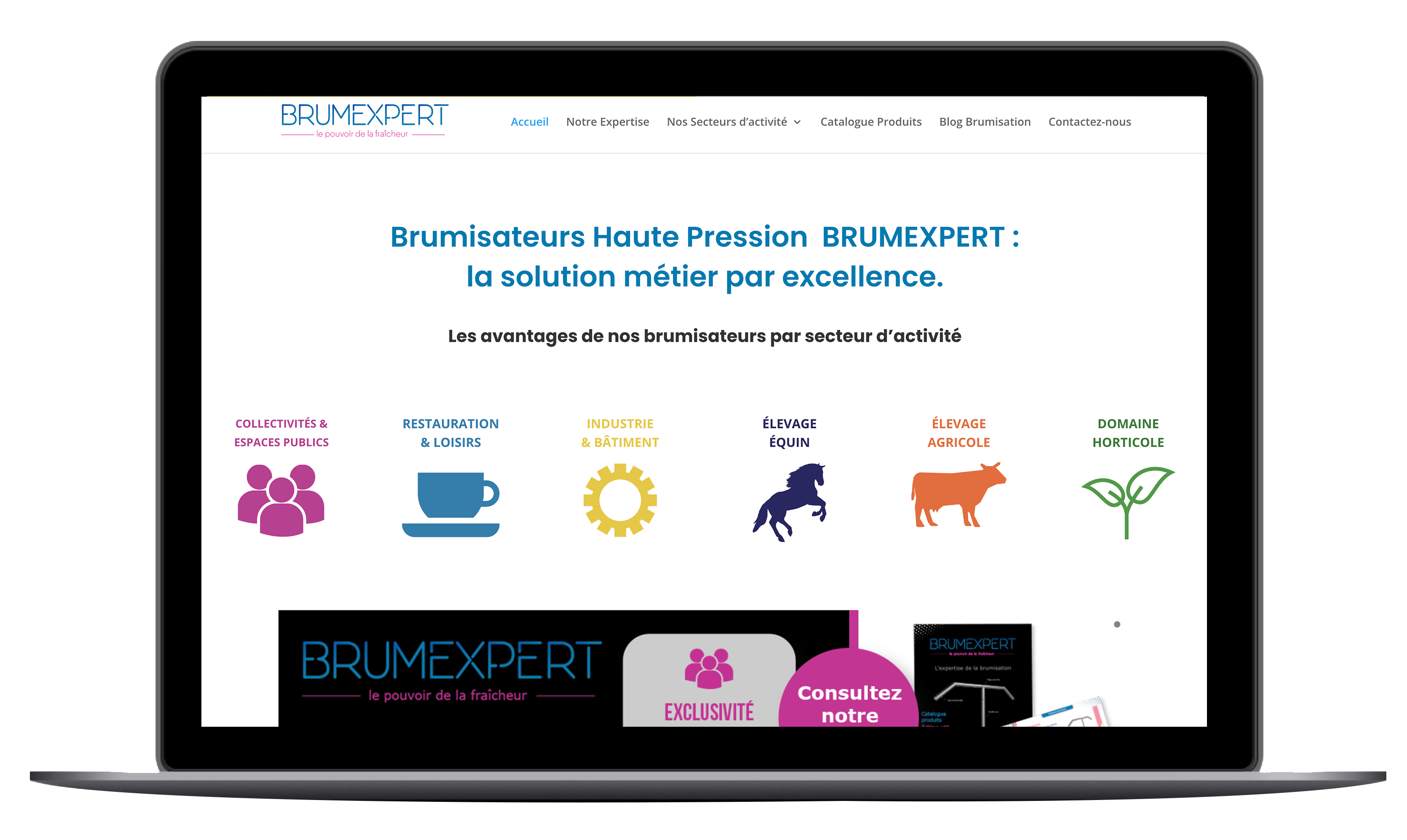 site web brumexpert